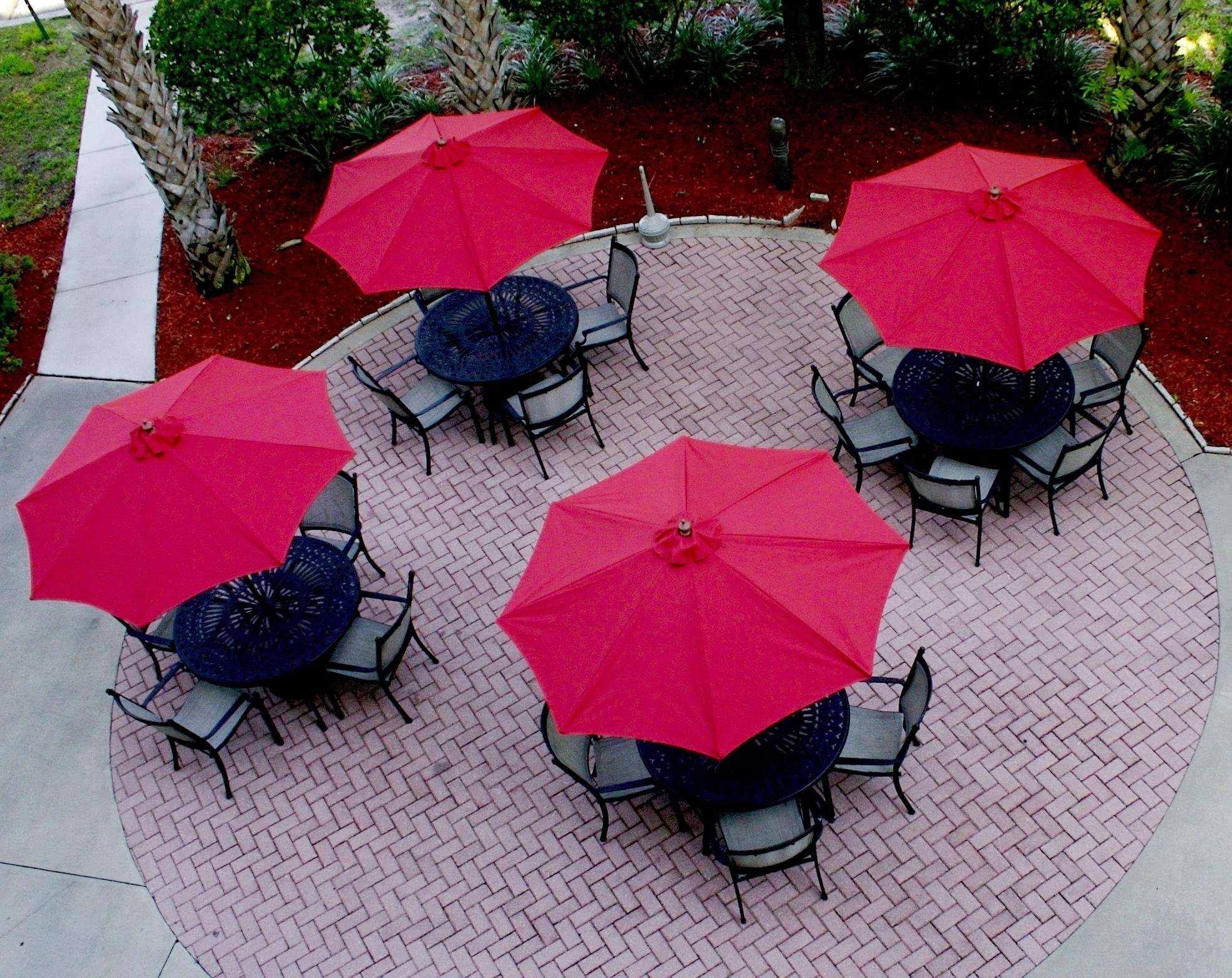 Hilton Garden Inn Tampa North Temple Terrace Restauracja zdjęcie