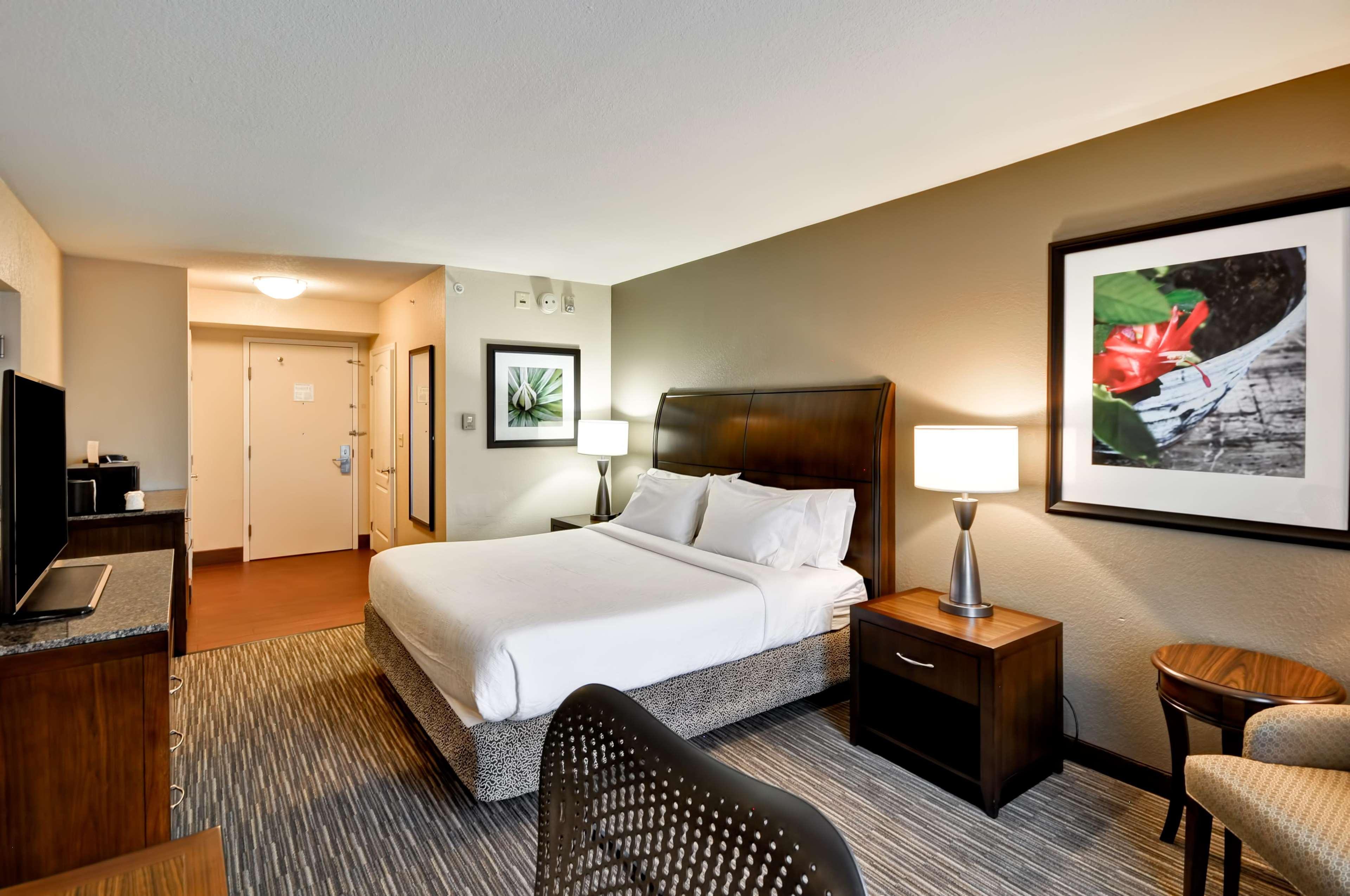 Hilton Garden Inn Tampa North Temple Terrace Zewnętrze zdjęcie