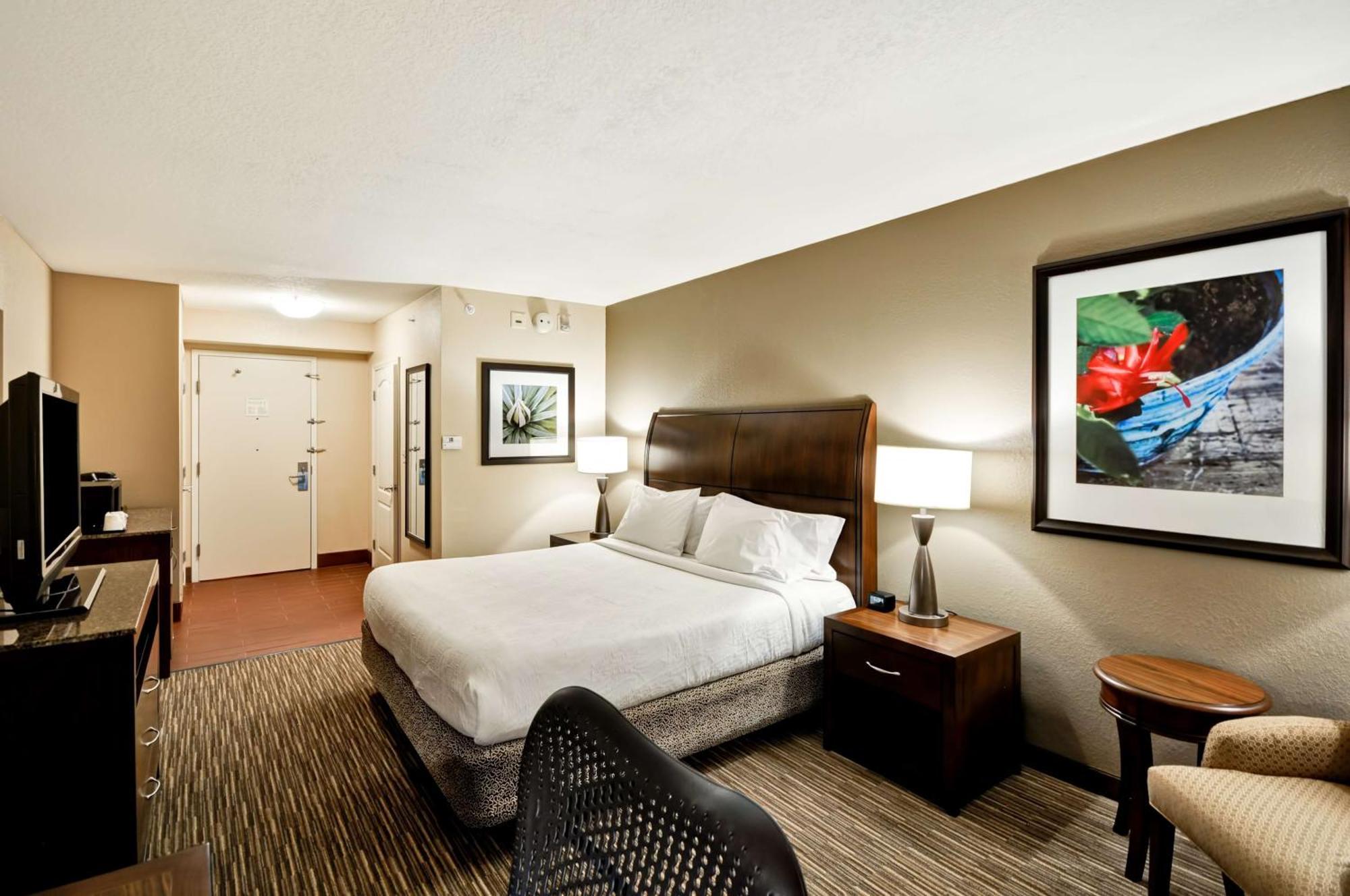 Hilton Garden Inn Tampa North Temple Terrace Zewnętrze zdjęcie