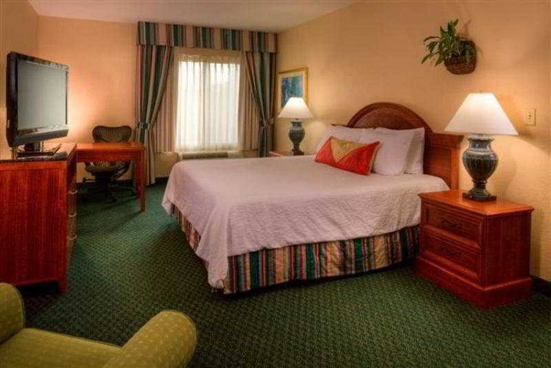 Hilton Garden Inn Tampa North Temple Terrace Zewnętrze zdjęcie
